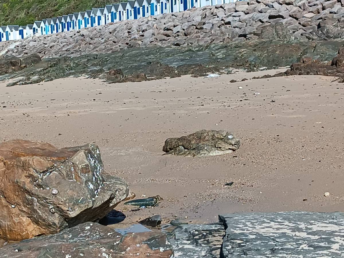 Les cabanes de plage de Carteret : histoire, charme et découverte sur la Côte des&nbsp;Isles