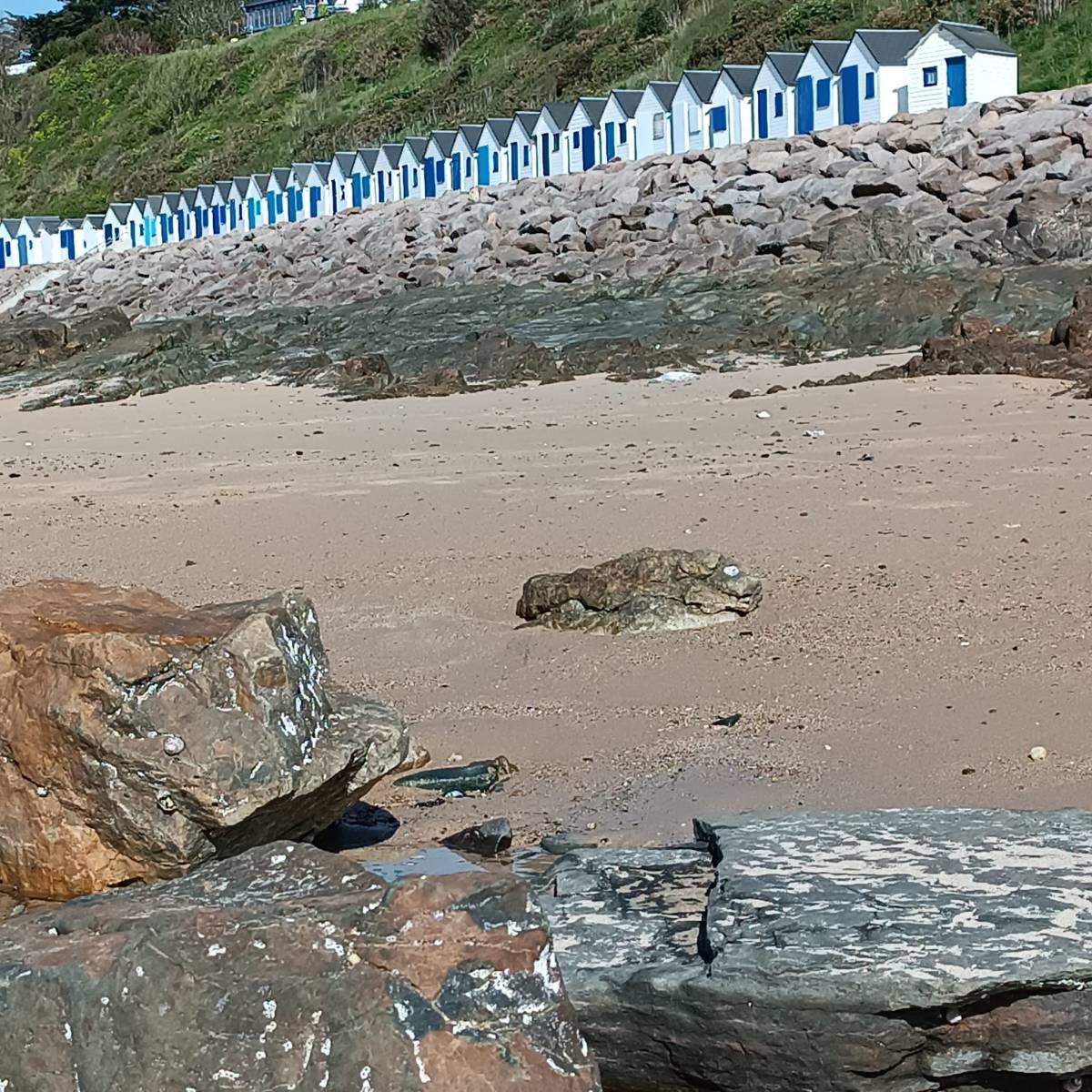 Les cabanes de plage de Carteret : histoire, charme et découverte sur la Côte des&nbsp;Isles