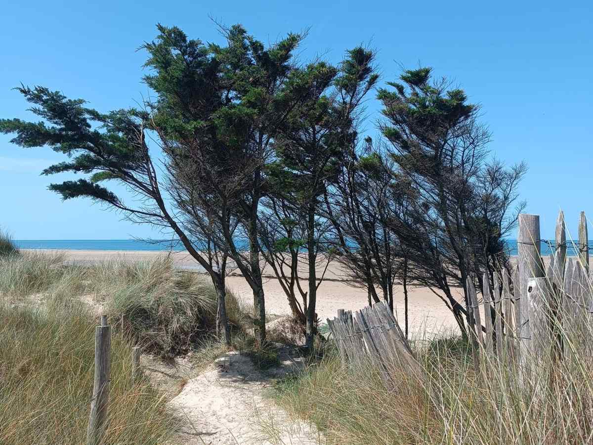 Explorer les Dunes d’Hatainville dans le&nbsp;Cotentin